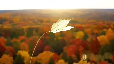 chanson d'automne.mp4